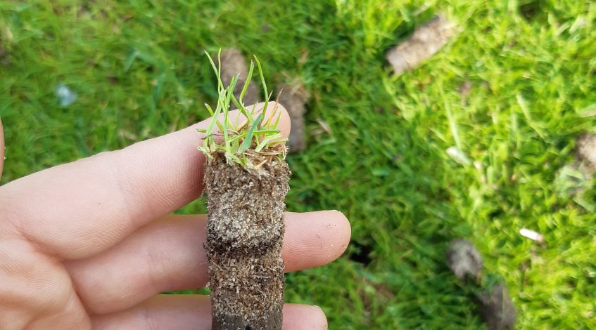 aerifikacia travnika nitra